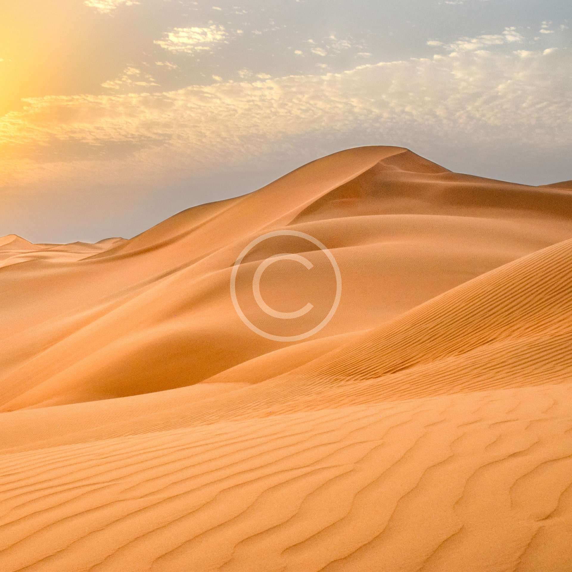 In a desert